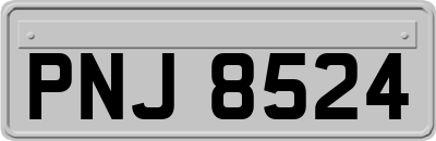 PNJ8524