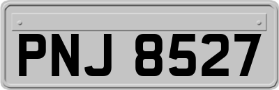PNJ8527