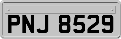 PNJ8529