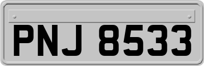 PNJ8533
