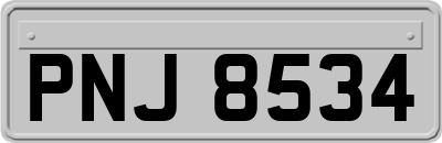 PNJ8534