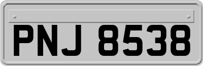 PNJ8538