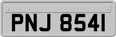 PNJ8541