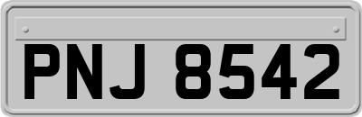 PNJ8542
