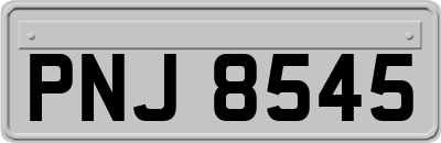 PNJ8545