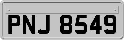 PNJ8549