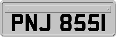 PNJ8551