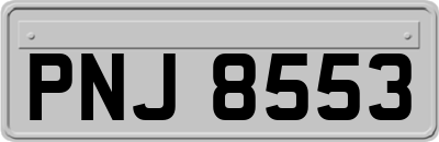 PNJ8553