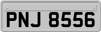 PNJ8556