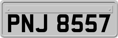 PNJ8557