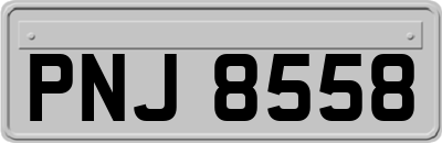 PNJ8558
