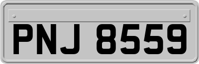 PNJ8559