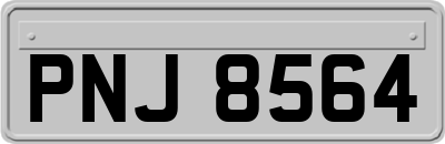 PNJ8564