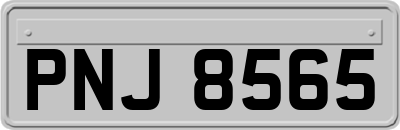 PNJ8565