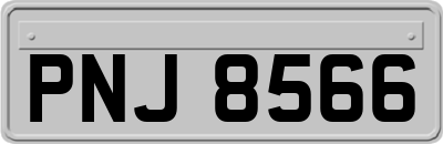 PNJ8566