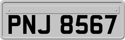 PNJ8567
