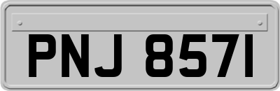 PNJ8571