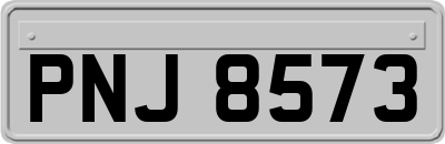 PNJ8573