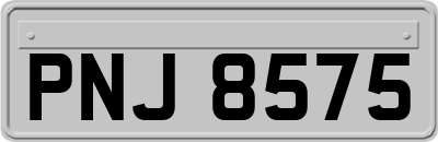 PNJ8575