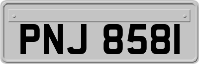 PNJ8581