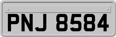 PNJ8584