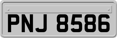 PNJ8586