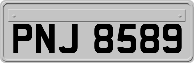 PNJ8589