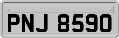 PNJ8590