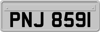 PNJ8591