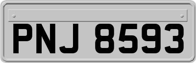 PNJ8593