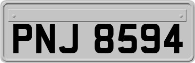 PNJ8594