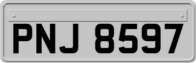 PNJ8597