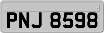 PNJ8598