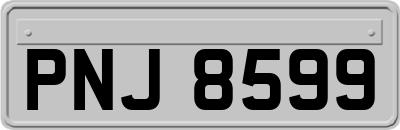 PNJ8599