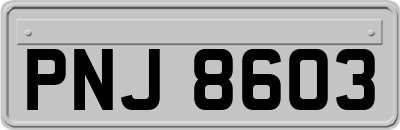 PNJ8603