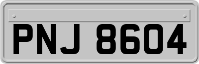 PNJ8604