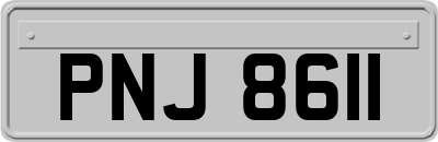 PNJ8611