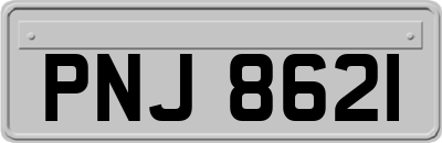 PNJ8621