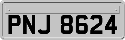 PNJ8624