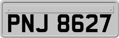 PNJ8627