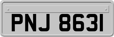 PNJ8631