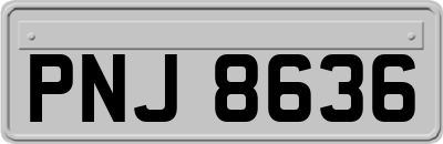 PNJ8636
