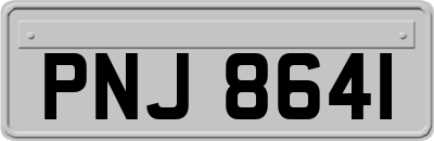 PNJ8641