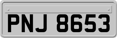 PNJ8653