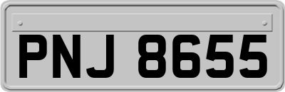 PNJ8655