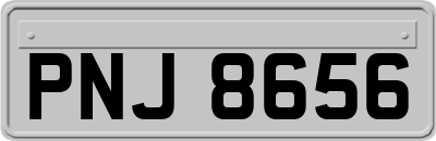 PNJ8656