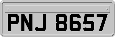 PNJ8657