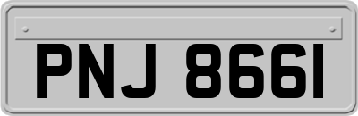 PNJ8661