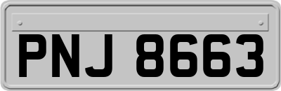 PNJ8663