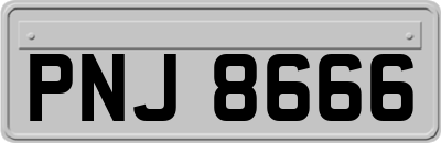 PNJ8666